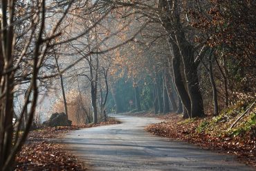 Elcsendesedés a természet ölelésében – Élménybeszámoló a 2025-ös mátrai elvonulásról